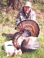Cave Run Lake Kentucky Muskie Fishing and Turkey Hunting Combo