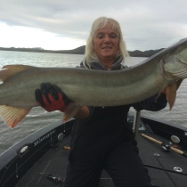 Vickie 43.0 Incher