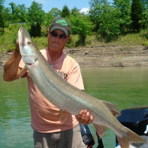 may-muskie