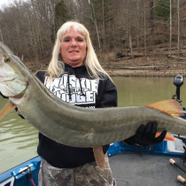 vickie 41.5